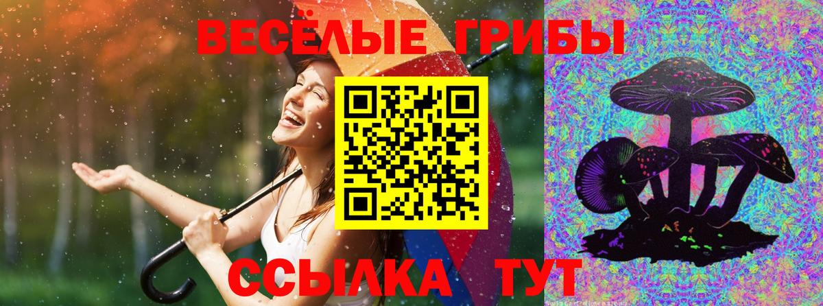 Сальск  Псилоцибиновые грибы Cubensis  Вход с VPN  Псилоцибиновые грибы мицелий 
