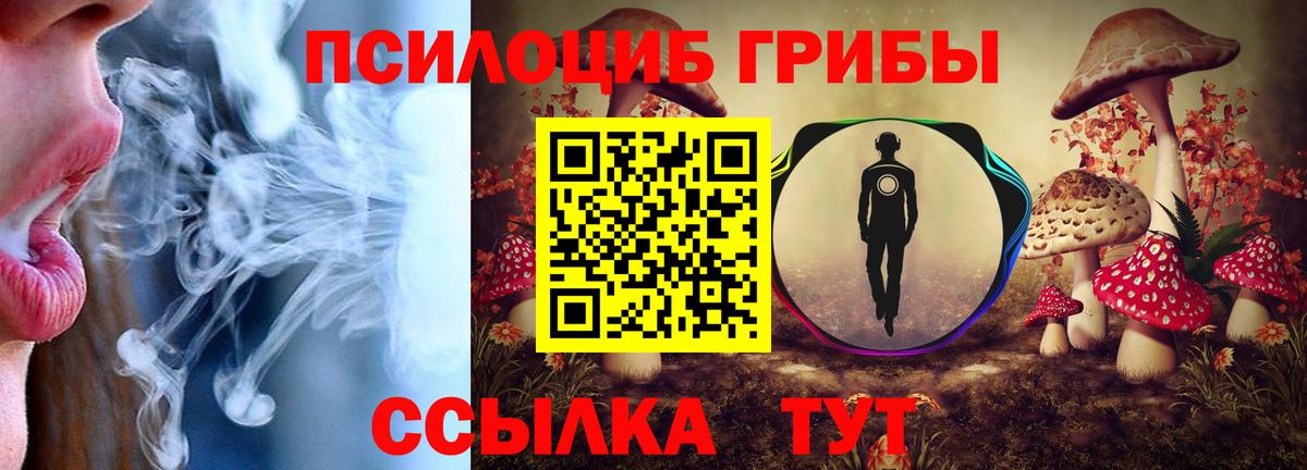 Галлюциногенные грибы мухоморы Сальск